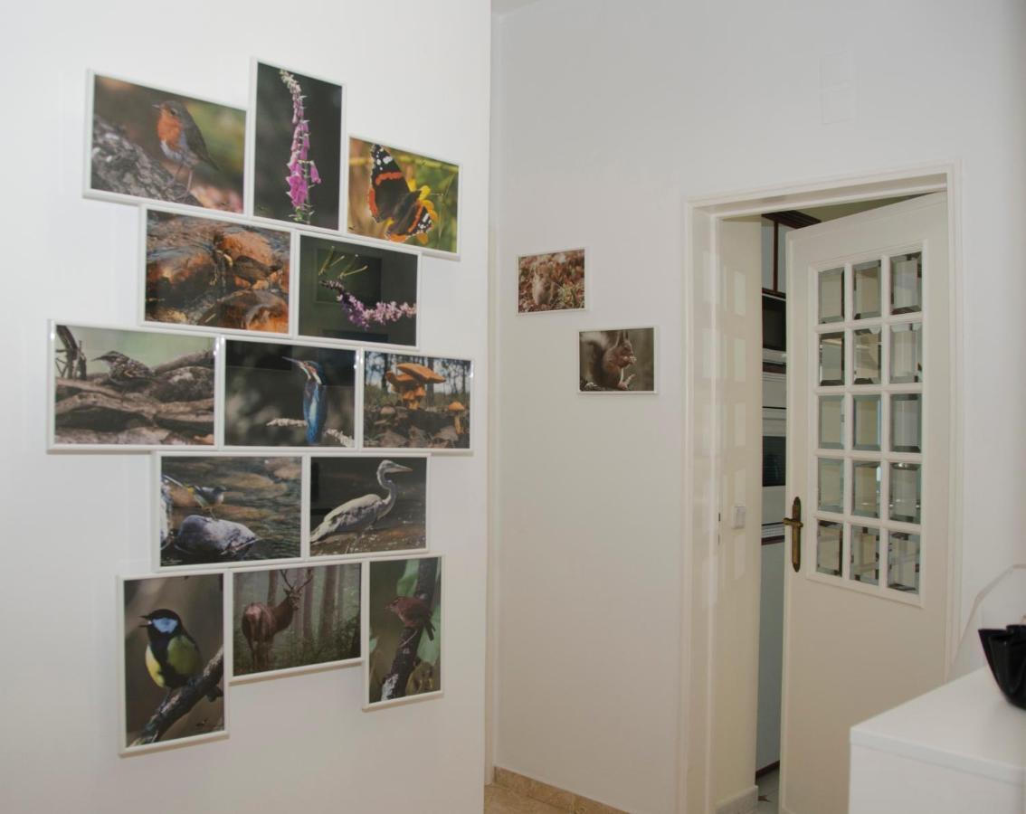 Casa Do Relogio Apartment Lousa  Bagian luar foto